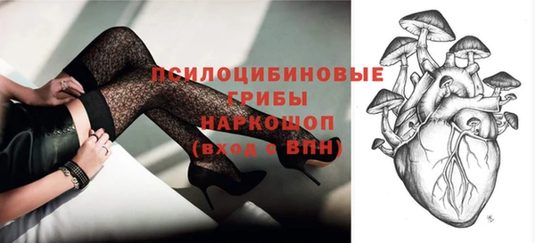 МДПВ Галич