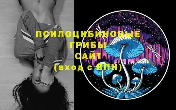 тгк Покровск
