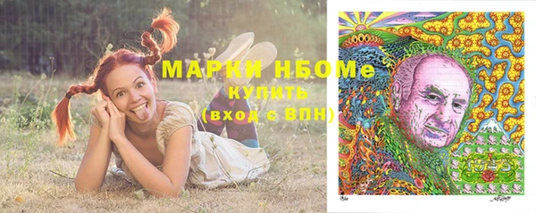 ешки Протвино