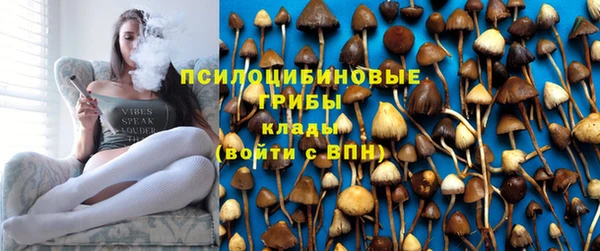 тгк Покровск