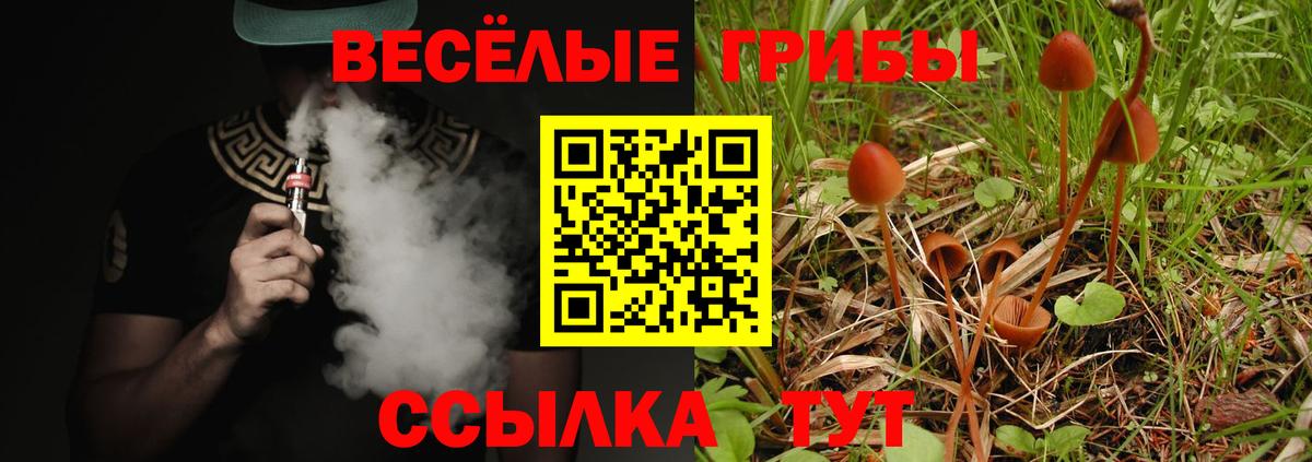 Псилоцибиновые грибы GOLDEN TEACHER Апшеронск