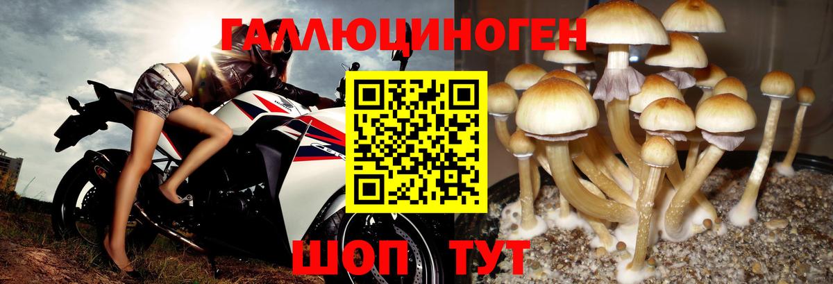 Апшеронск  Галлюциногенные грибы Magic Shrooms  Вход с VPN 
