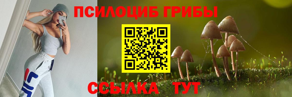 Псилоцибиновые грибы MAGIC MUSHROOMS Апшеронск