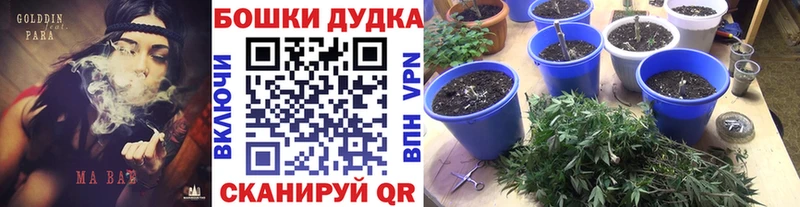 дарк нет телеграм цена наркотик Апшеронск МАРИХУАНА LSD WEED
